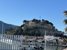 228-11-01-2026 IMG_3421